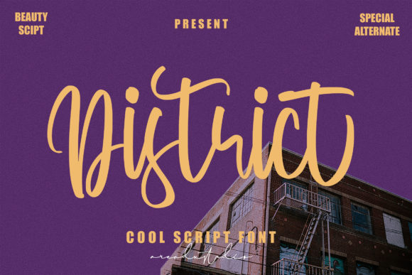 Beautiful Script Font for Creative Makers