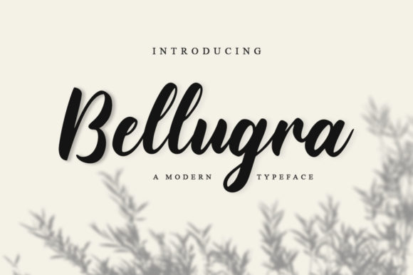 Bellugra Font for Creative Makers