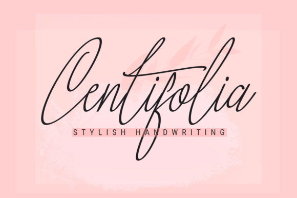 Centifolia Font for Web Design
