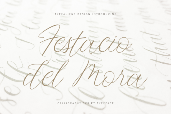 Festacio Del Mora Font for Business Branding