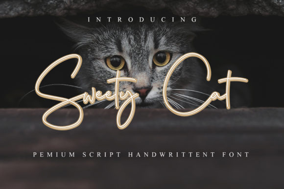Sweety Cat Font for Elegant Branding and Creative Projects