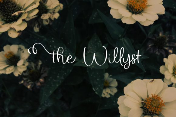 The Willyst: A Sophisticated Script Font for Editorial Design